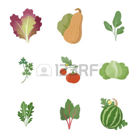 3,254 Spinach Cliparts, Stock Vector And Royalty Free Spinach.