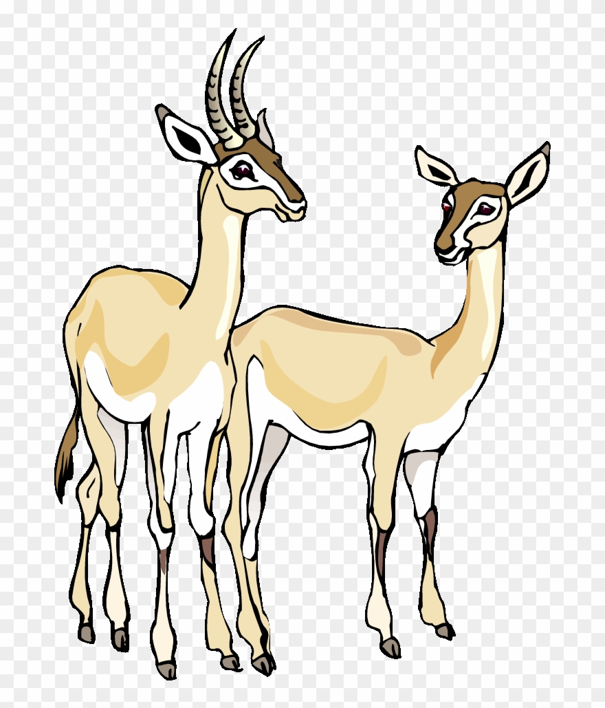 Free Gazelle Clipart Baby Llama Clip Art Baby Llama.