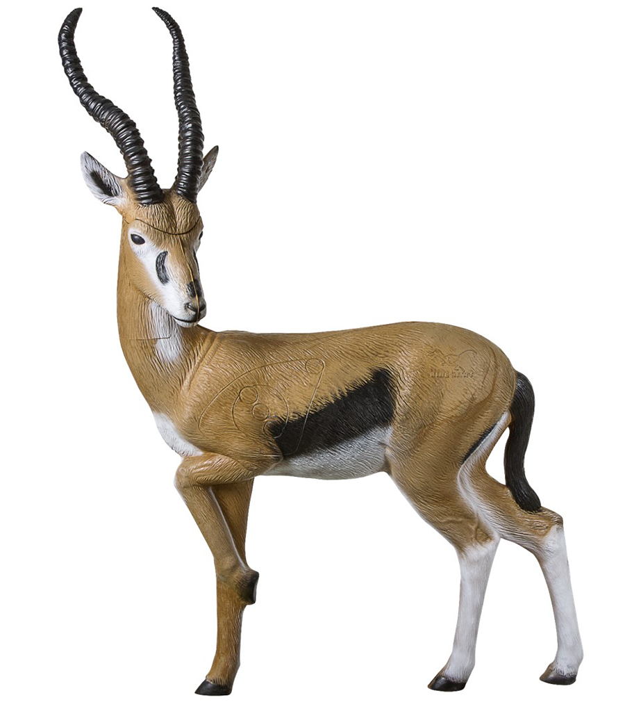 Springbok PNG Images.