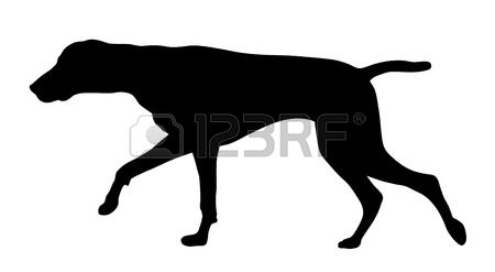 1,087 Pointer Dog Stock Vector Illustration And Royalty Free.