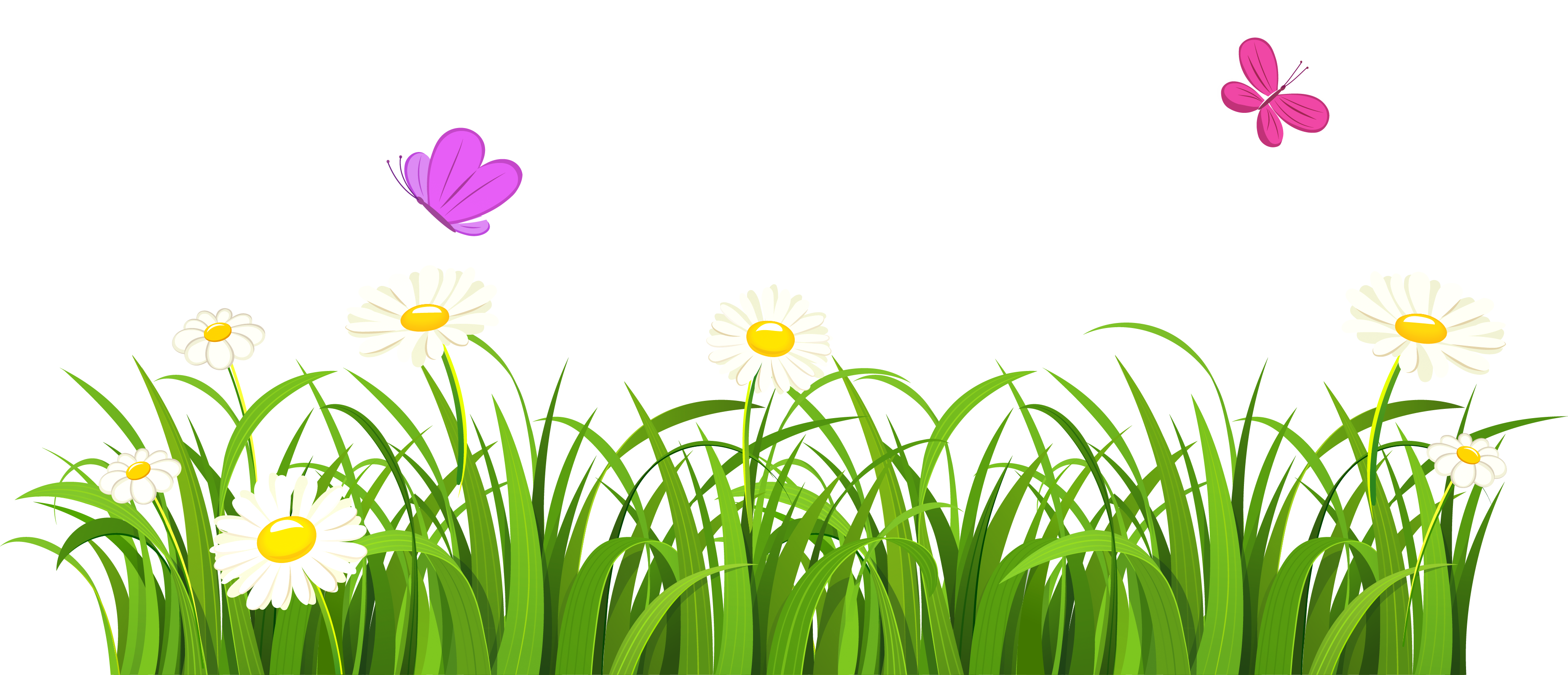 Green grass clipart.