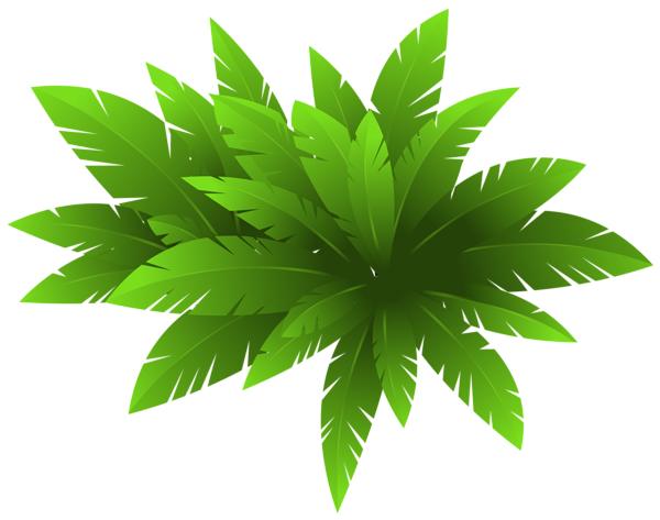 Green Plant Decoration PNG Clipart Image.