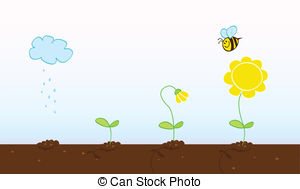 Seed Illustrations and Clip Art. 36,236 Seed royalty free.