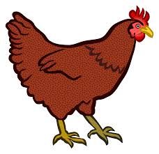 hen clipart.