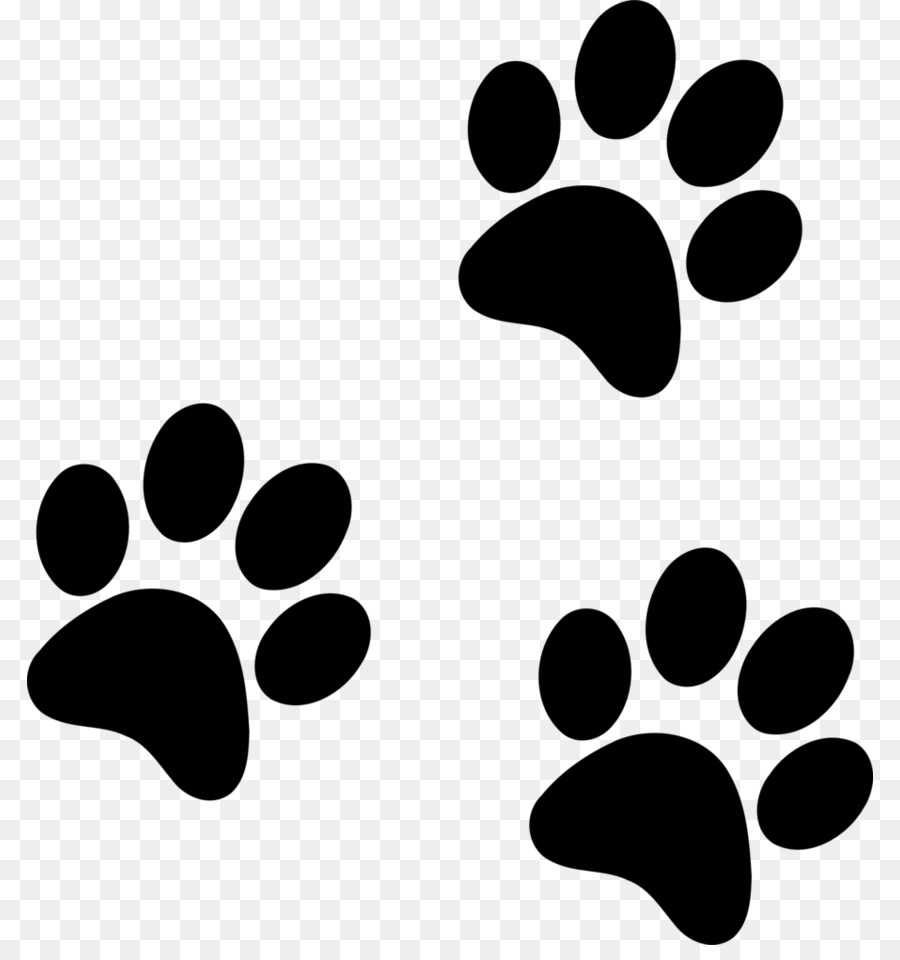 Dog Paw png download.