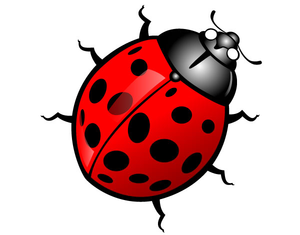 Free Cute Insect Clipart.