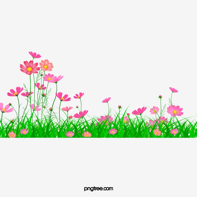 Aster Beautiful Garden, Garden Clipart, Pretty, Aster PNG.