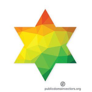 Jewish star vector image.