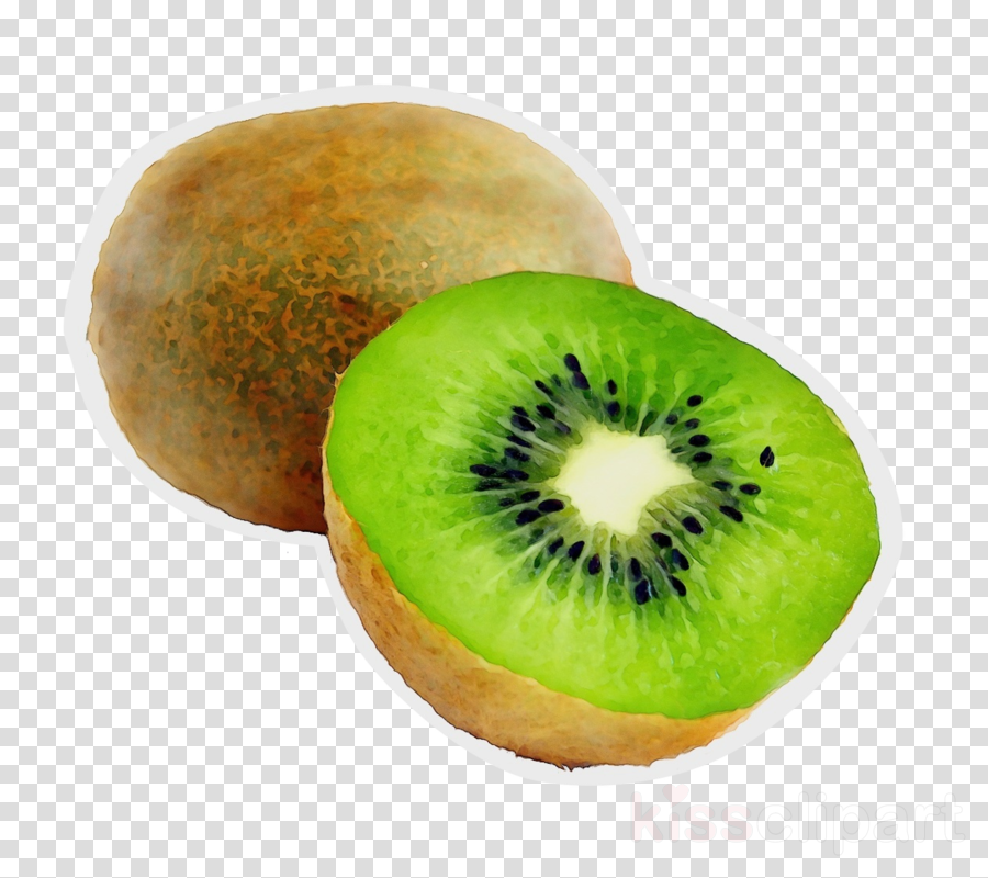 Kiwi clipart.