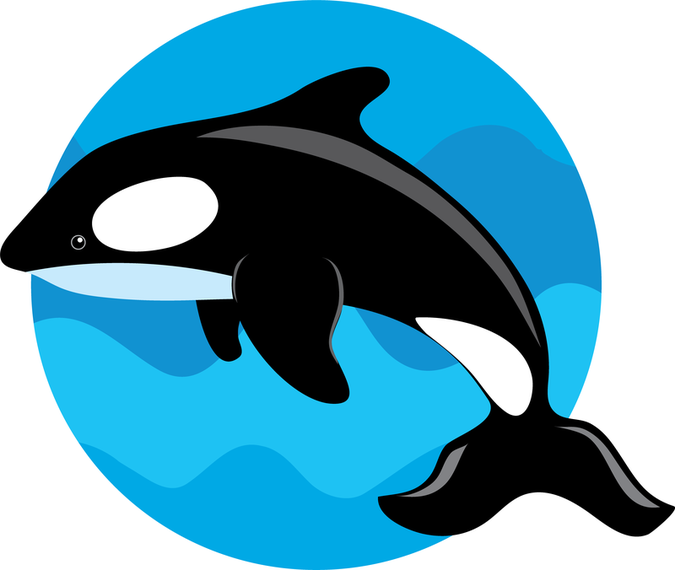 Vector lindo de la ballena.