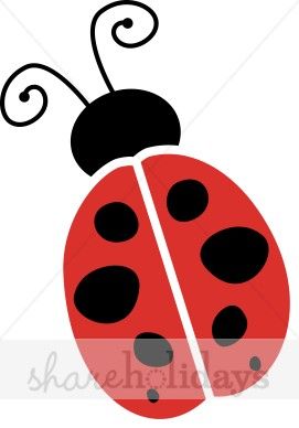 ladybug.