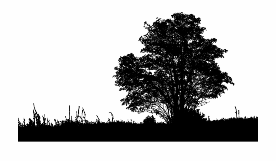 Tree, Landscape, Silhouette, Grass, Nature, Ecological.