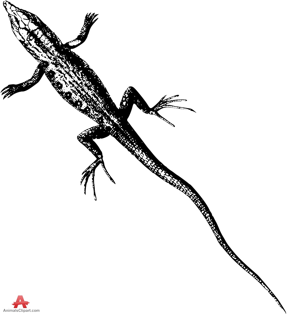 Drawing Clipart of Lizard with Long Tail.