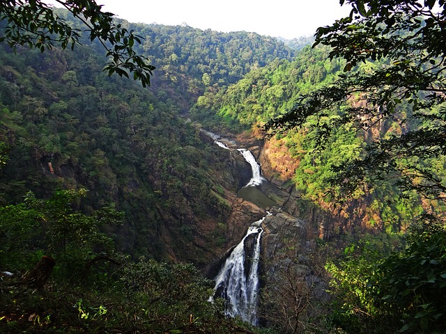 Free pictures WATER FALL.