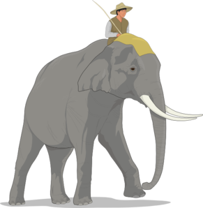 Showing post & media for Cartoon man riding elephant.