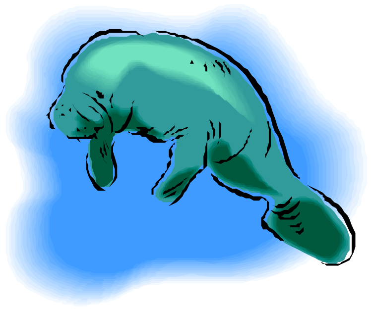 Best Manatee Clip Art #6156.