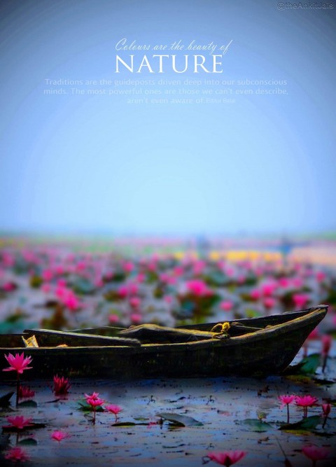 Nature Boat Manipulation Editing BACKGROUND HD.