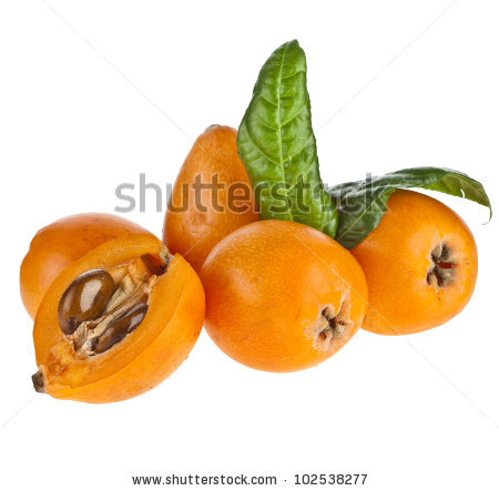 Loquat Medlar Fruit Isolated On White Stock Photo 102960356.