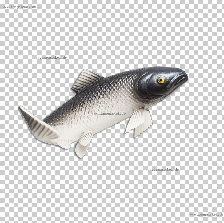 Milkfish PNG, Clipart, Fish, Fish Shop, Milkfish Free PNG.