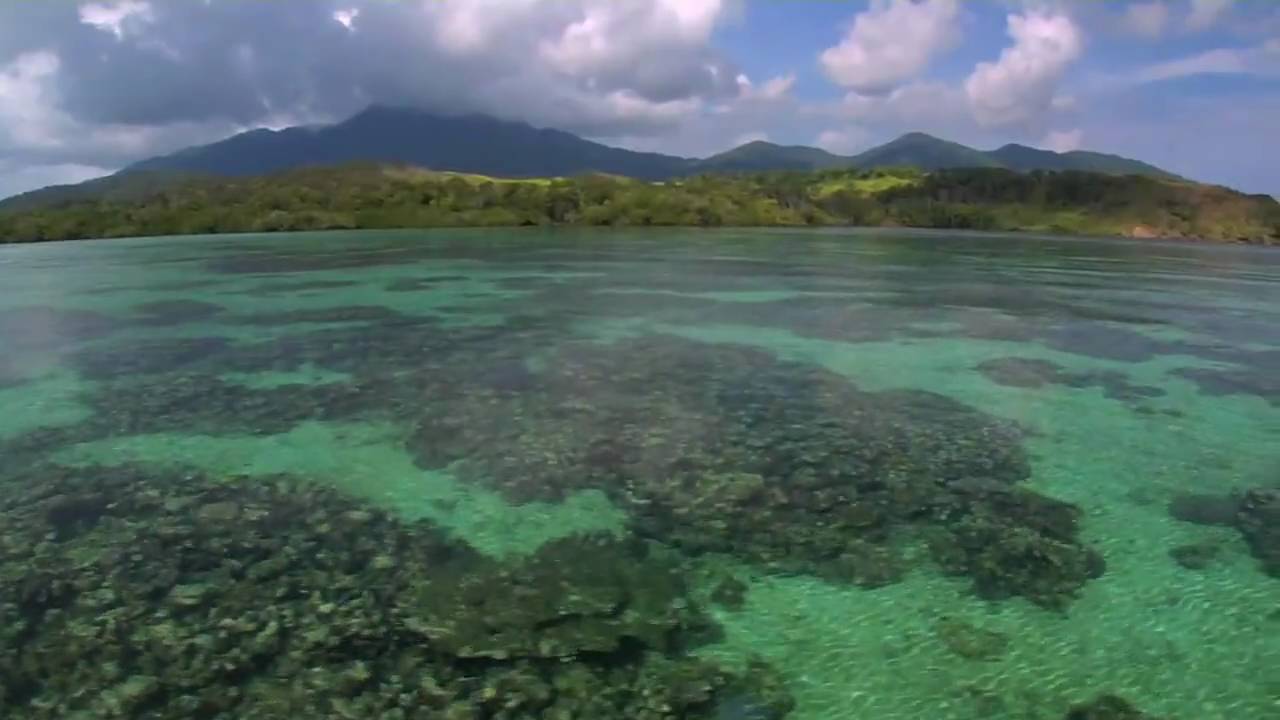 Experience Milne Bay.