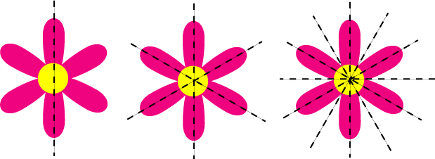 Line Symmetry (also called Mirror Symmetry): Level 5.