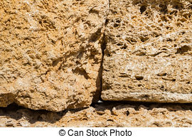 Natural material Stock Photo Images. 239,887 Natural material.