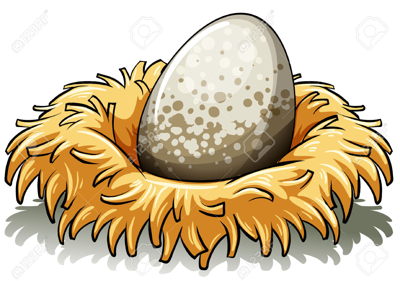 6,646 Bird Nest Stock Illustrations, Cliparts And Royalty Free.