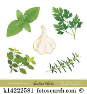 Ocimum Clipart Vector Graphics. 37 ocimum EPS clip art vector and.