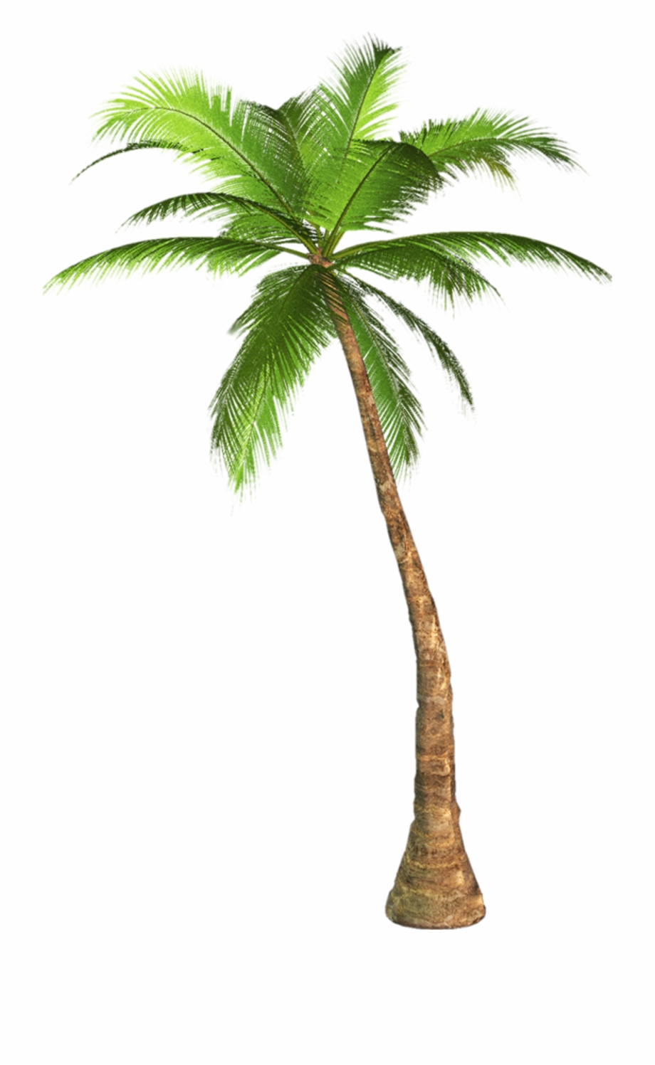 Vaporwave Palm Tree Png.