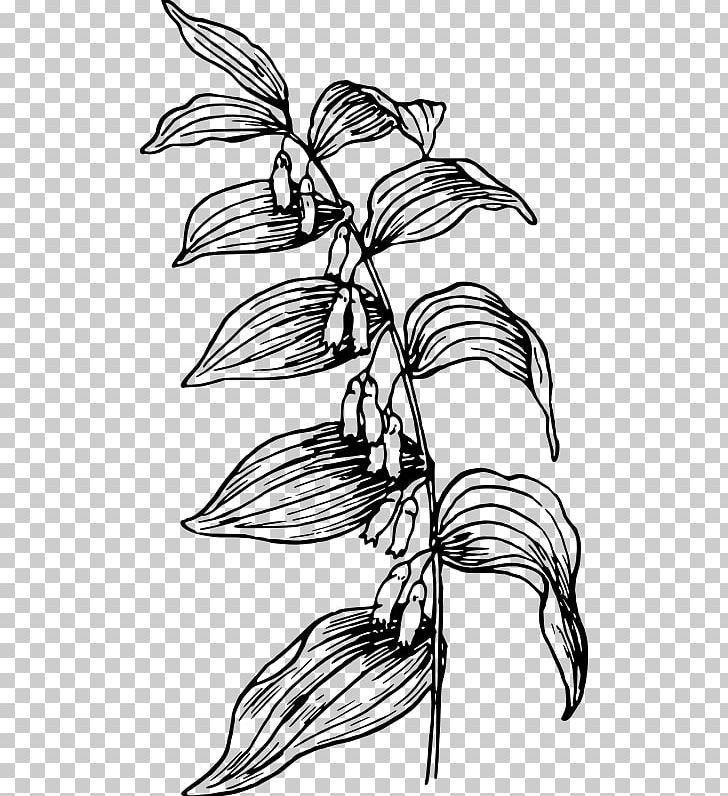 Branch Flower Plant Stem Line Art PNG, Clipart, Artwork.