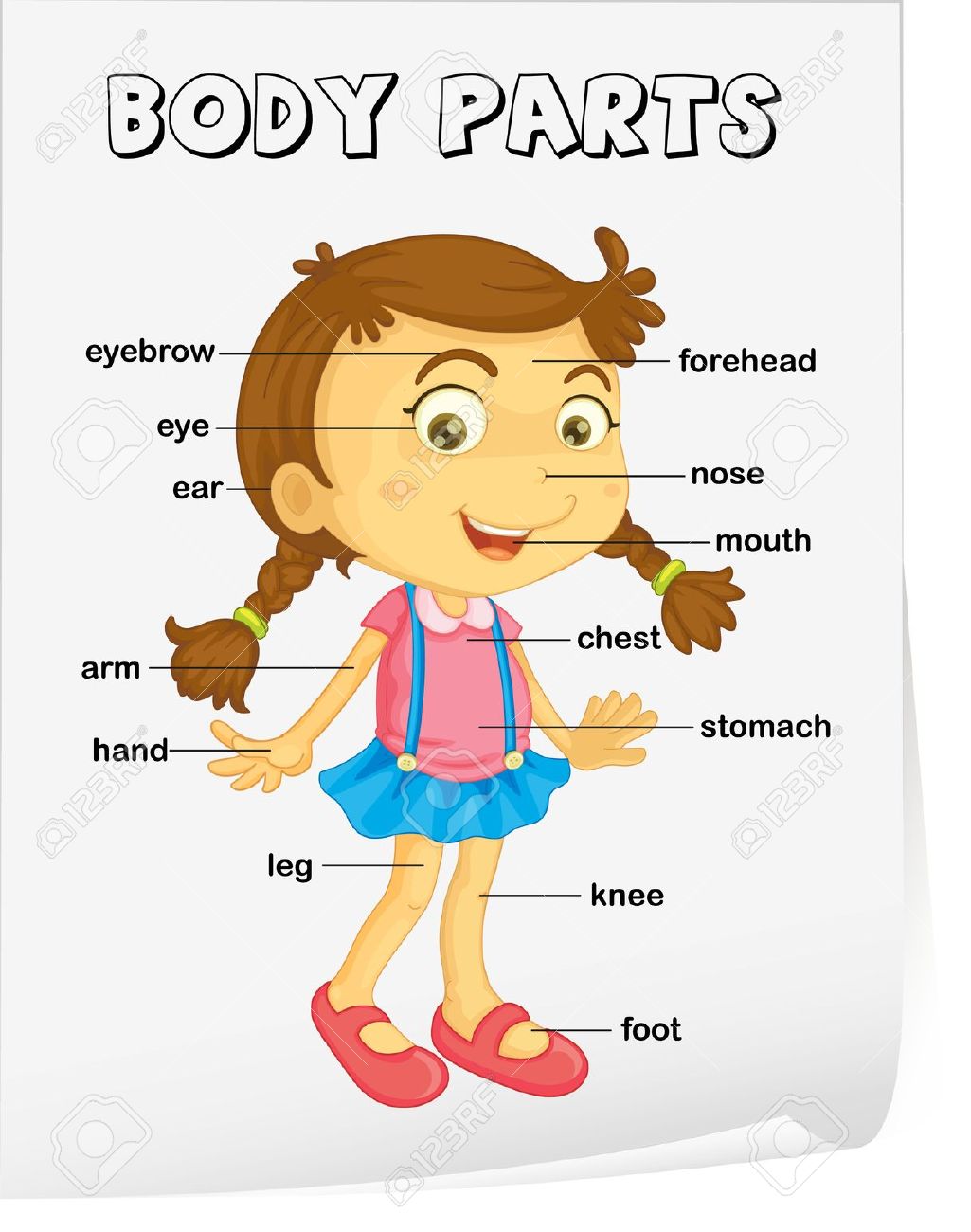 Parts Of The Body Clipart.