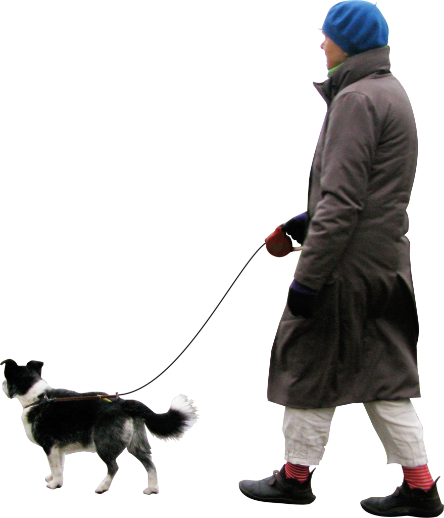 Walking Dog PNG Image.