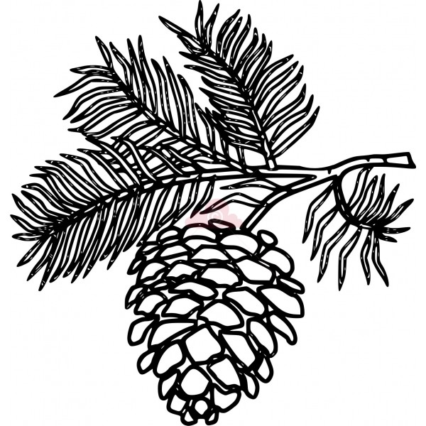 White Pine Cone Drawing Clip art pine cone clipart panda.