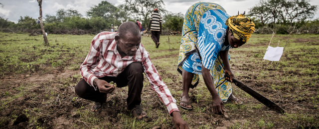 Rural development.