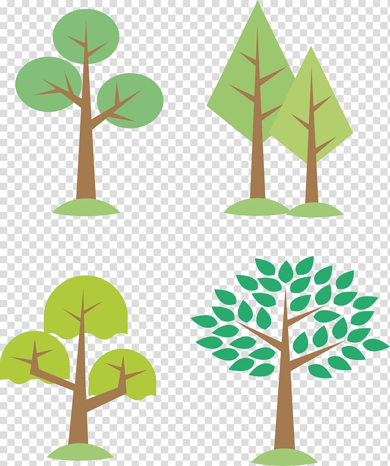 Tree Euclidean , Lush poplar forest transparent background.