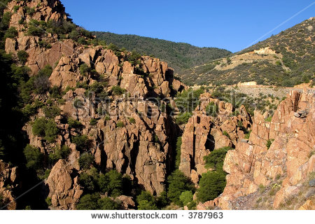 Prescott National Forest Stock Images, Royalty.