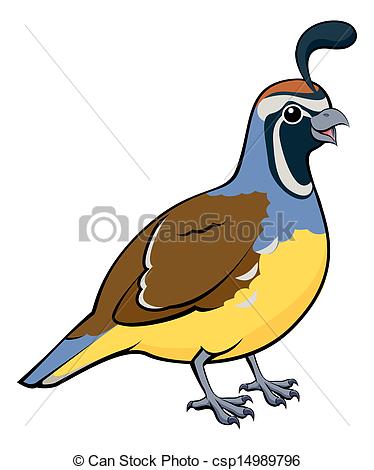 Quail Illustrations and Clip Art. 431 Quail royalty free.