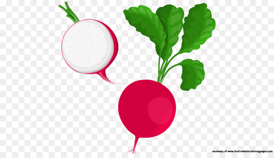 Vegetable Cartoon clipart.