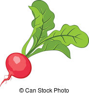 Vectors Illustration of radish csp3696347.