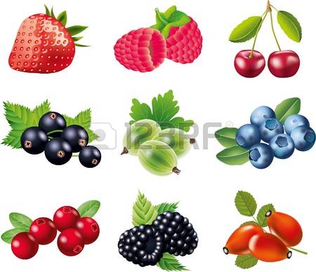 884 Rosehip Cliparts, Stock Vector And Royalty Free Rosehip.