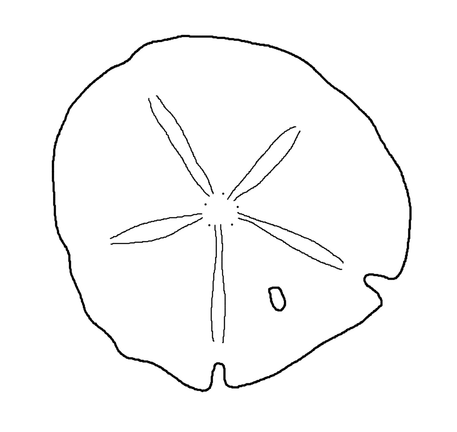 This is best Sand Dollar Clip Art #8012 Sand Dollar Outline.