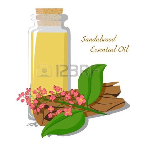 138 Sandalwood Stock Illustrations, Cliparts And Royalty Free.