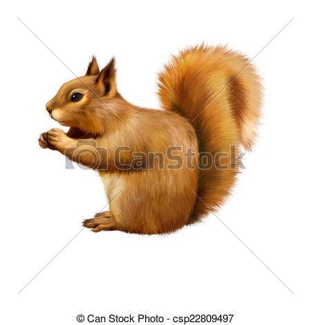 Stock Illustration of Red Squirrel, Sciurus Vulgaris, sitting.