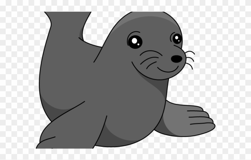 Sea Lion Clipart Transparent.