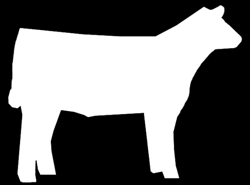 Free Market Steer Cliparts, Download Free Clip Art, Free.