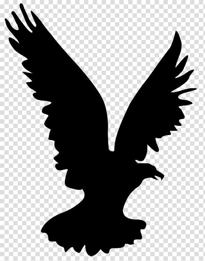 Bald Eagle Bird Silhouette , Eagle Silhouette transparent.