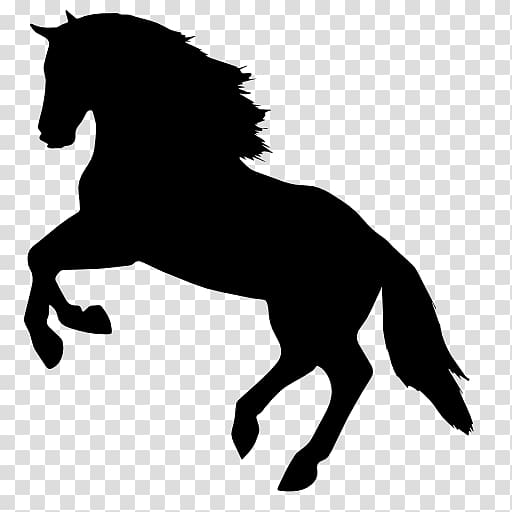 Horse silhouette , Horse Icon, Horse Silhouette transparent.