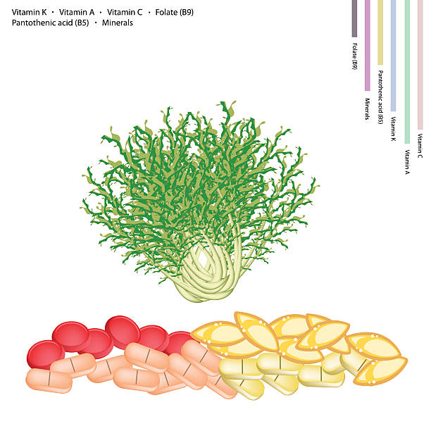 Sonchus Clip Art, Vector Images & Illustrations.