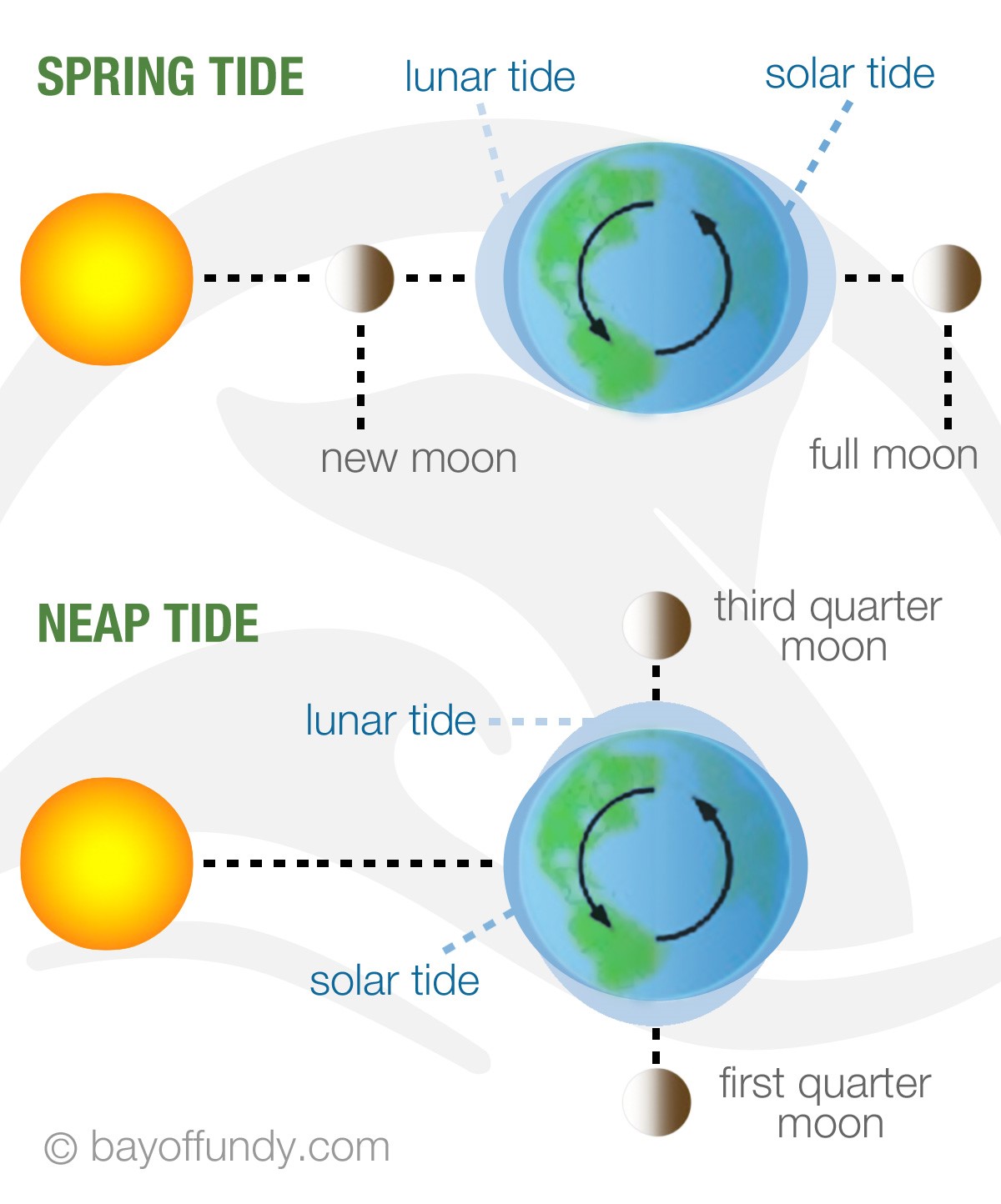 Astronomical Cycles and Their Effects on Planet Earth.