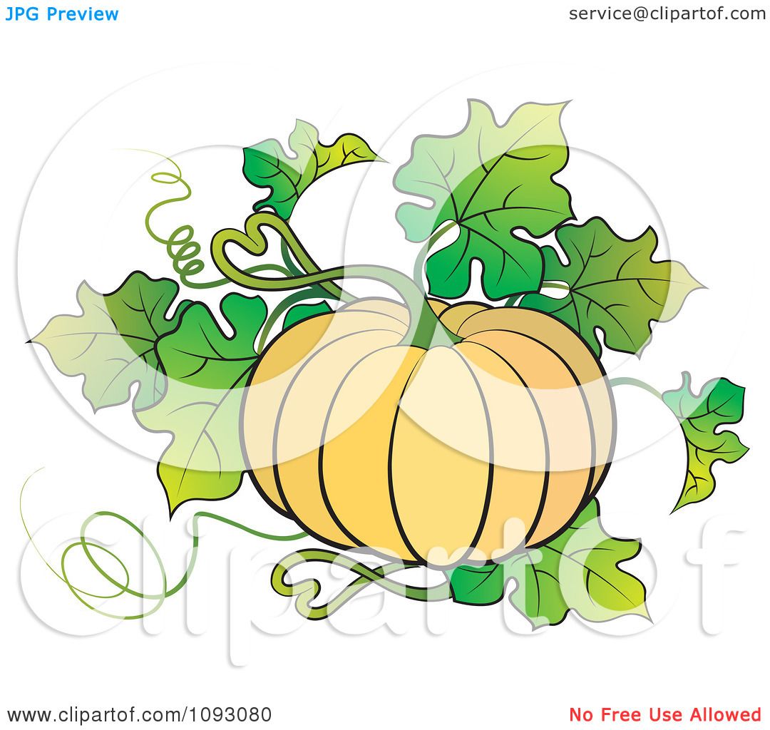 Showing post & media for Cartoon pumpkin plant.